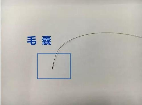 想做個(gè)人親子鑒定，頭發(fā)可以鑒定嗎？